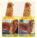 Cepillo De Vapor Para Mascotas